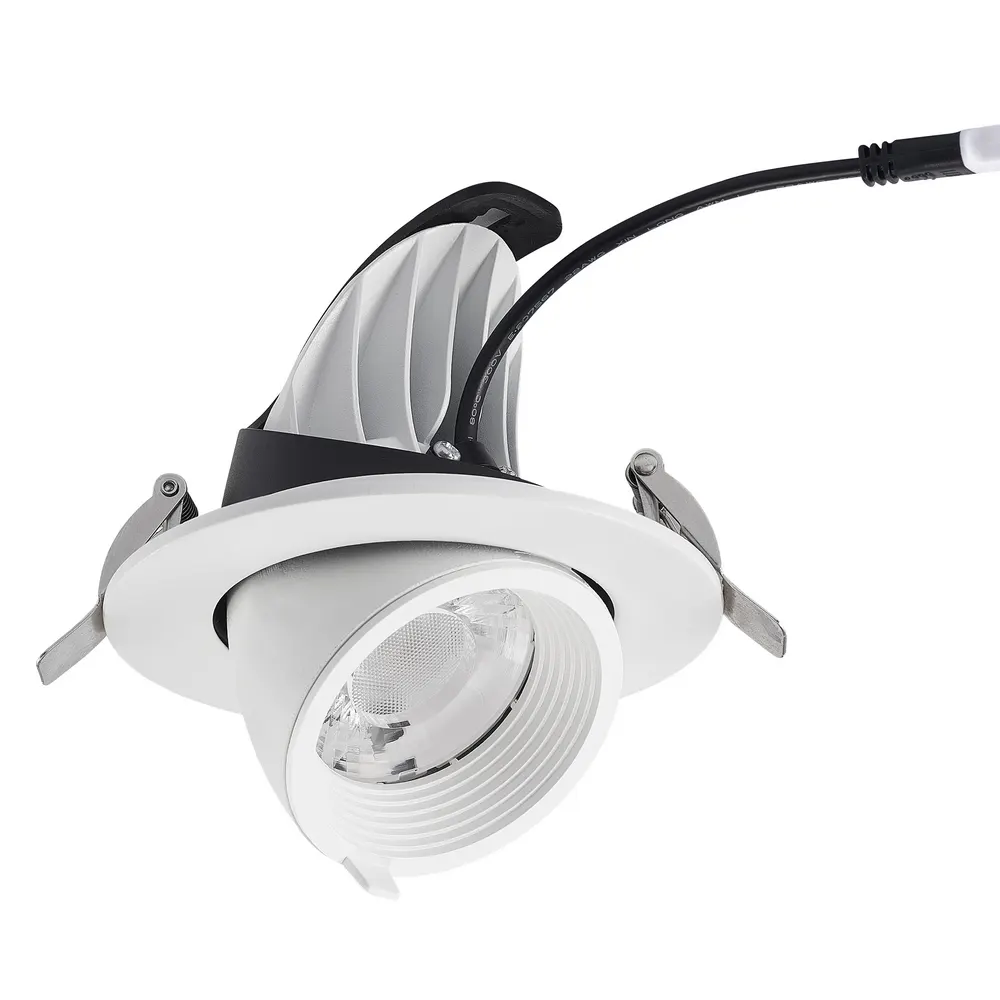 Adjustable Recessed Aluminum LED Downlight 10-40W