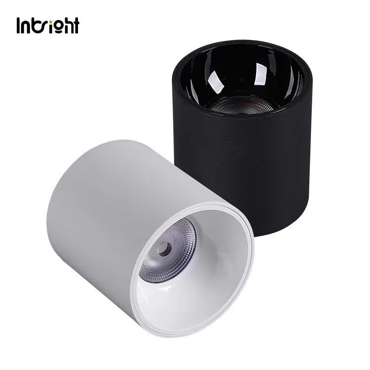 Anti-Glare Surface-Mounted Aluminum LED Downlight 50W IP65