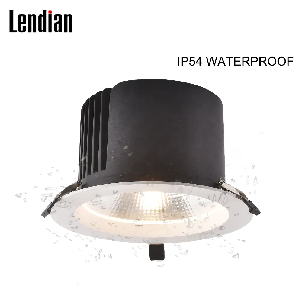 Recessed Aluminum COB LED Downlight Black 12-80W IP44/IP65
