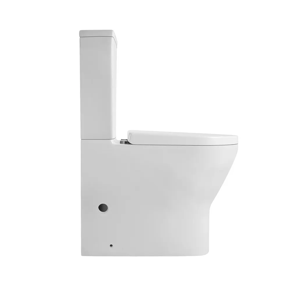 Dual-Flush Two-Piece Ceramic Toilet