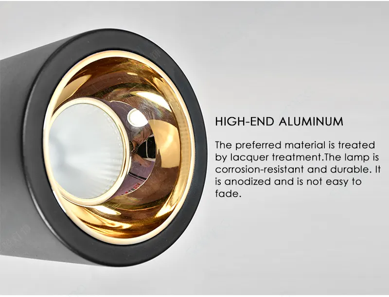 Surface-Mounted Aluminum COB LED Downlight 12/20W