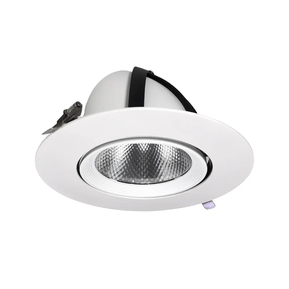Recessed Aluminum COB LED Downlight 30/40W