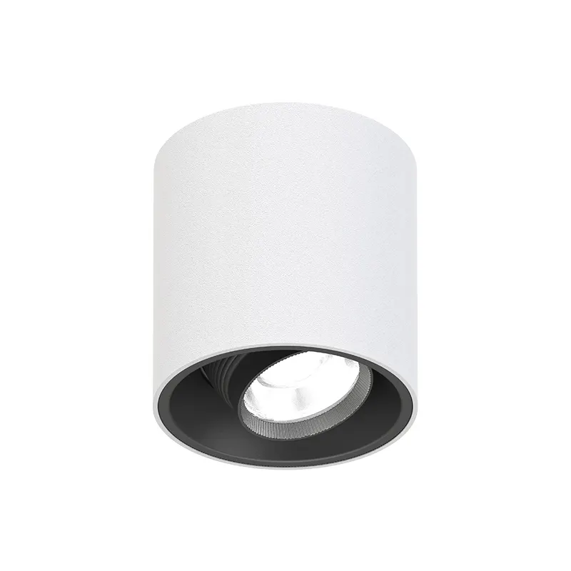 Adjustable Surface-Mounted Aluminum LED Downlight 8-20W IP65