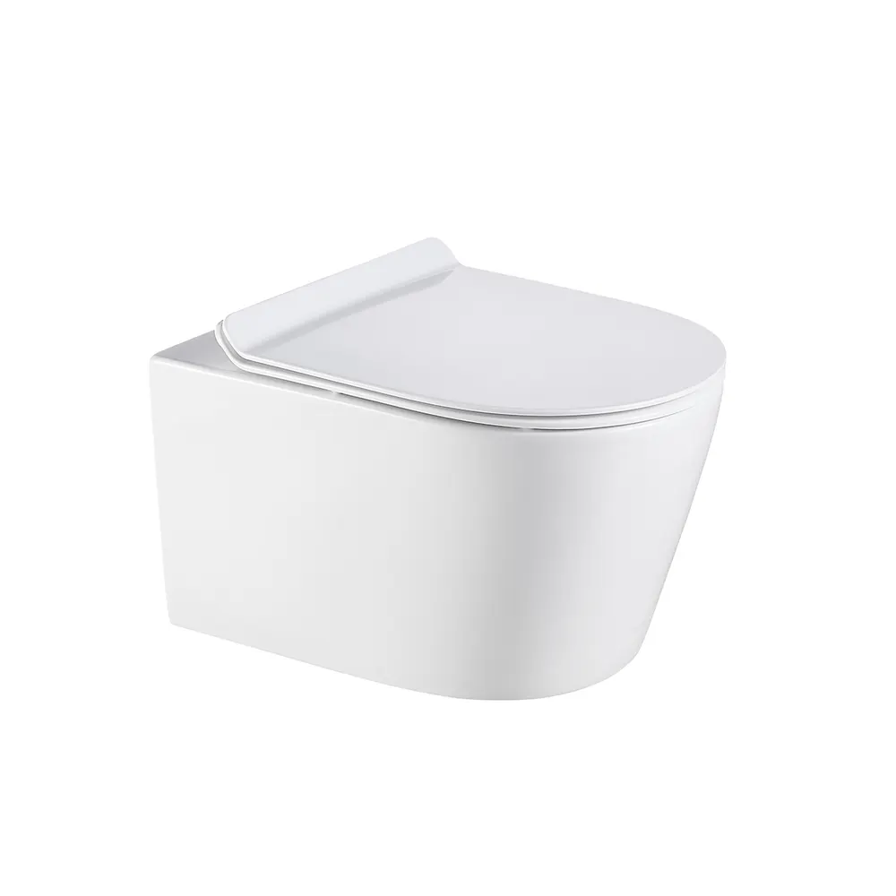 Two-Piece Dual-Flush Ceramic Toilet