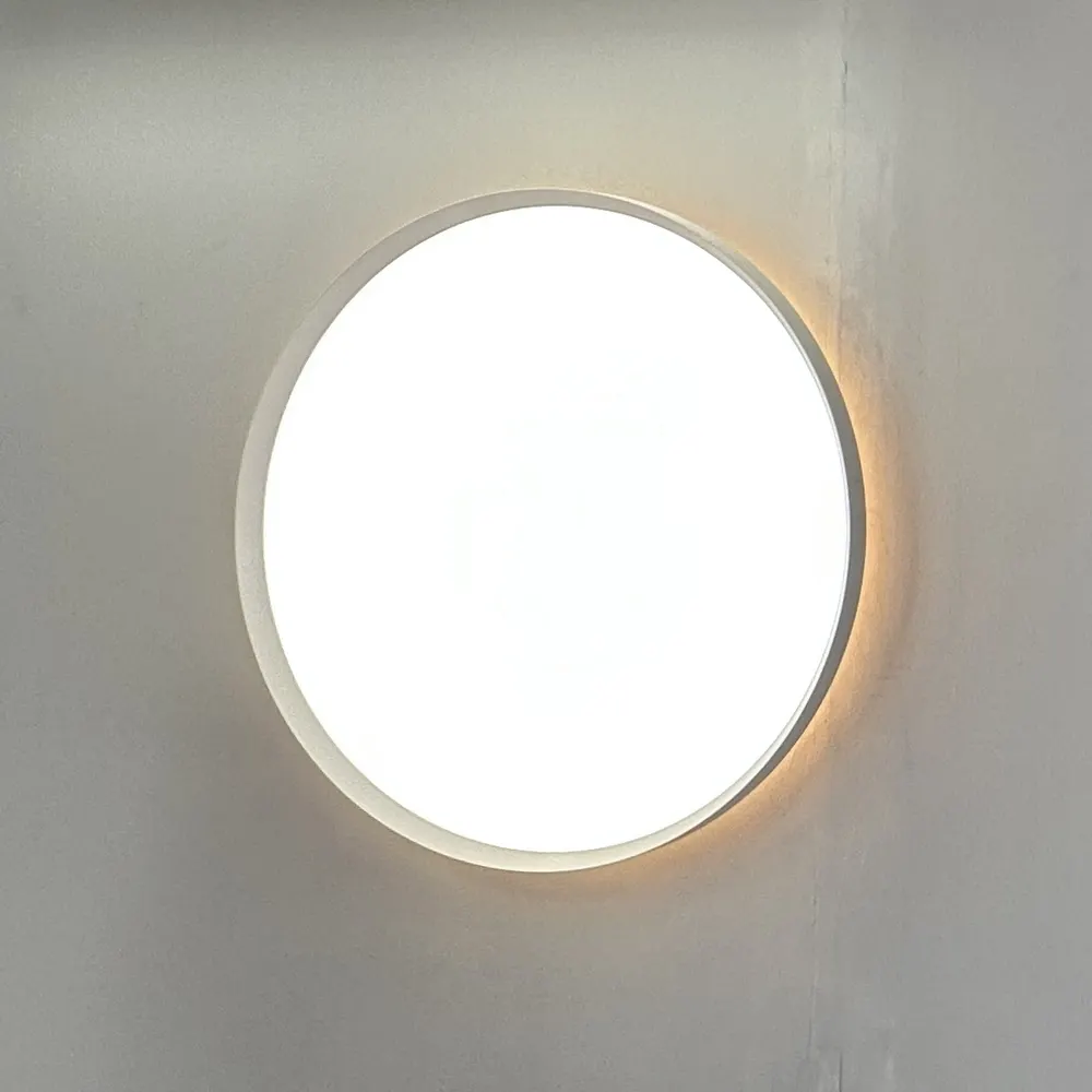 Smart Round Aluminum LED Ceiling Light White 24-100W product sample