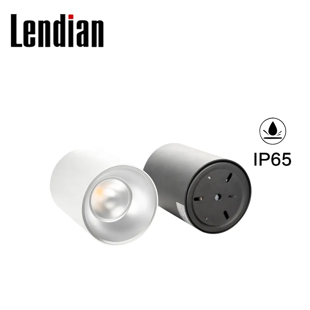 Surface-Mounted Round Aluminum LED Downlight 7/40W 220V