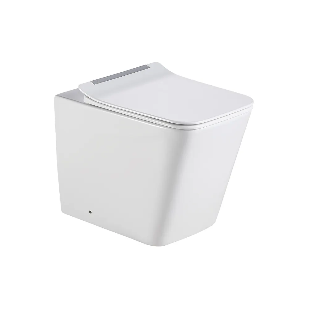 Two-Piece Dual-Flush Ceramic Toilet