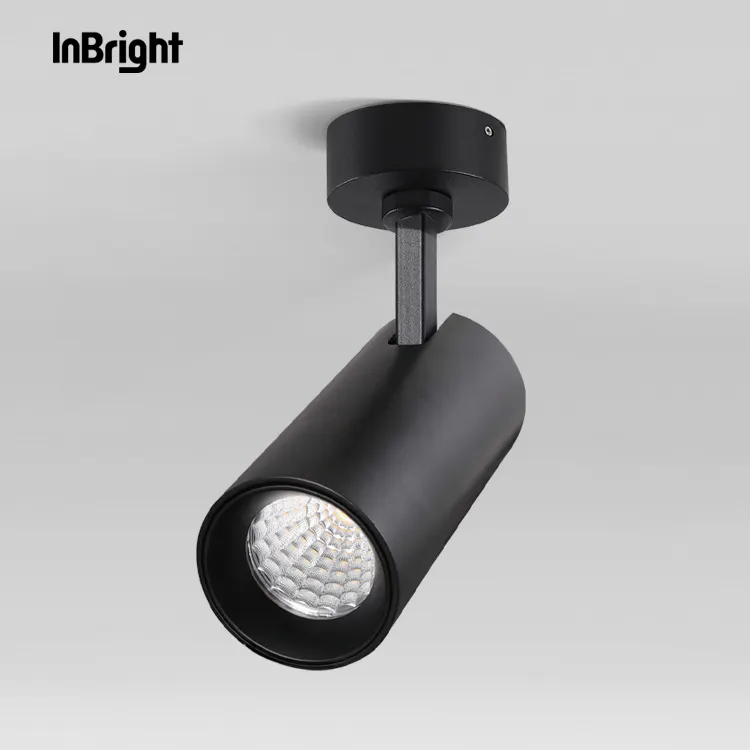 Rotatable Dimmable Surface-Mounted COB LED Downlight 12-36W IP20