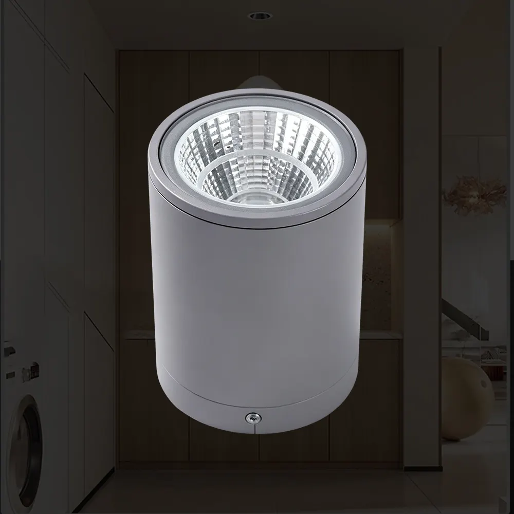 Surface-Mounted Round Aluminum LED Downlight Housing, No Cutout