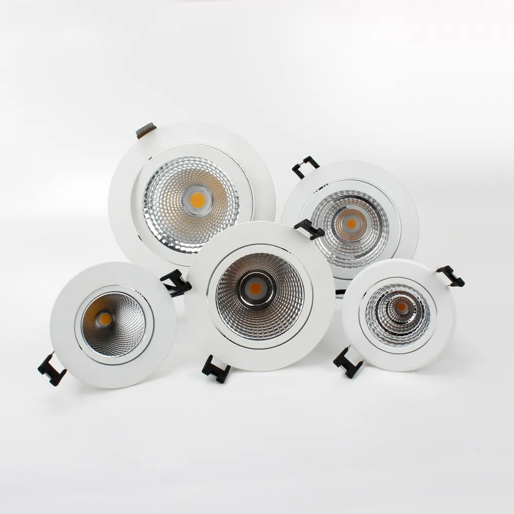 Adjustable Recessed Aluminum COB LED Downlight 3-12/40W product sample