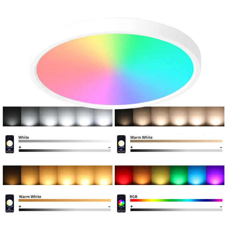 Dimmable Surface-Mounted Round LED Ceiling Light 24W product sample
