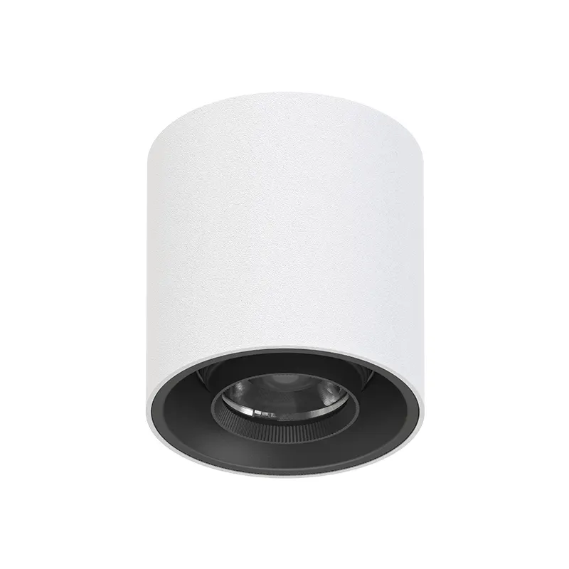 Adjustable Surface-Mounted Aluminum LED Downlight 8-20W IP65
