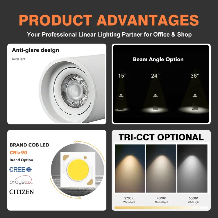 Surface-Mounted Round Aluminum COB LED Downlight Black/White 5/10W