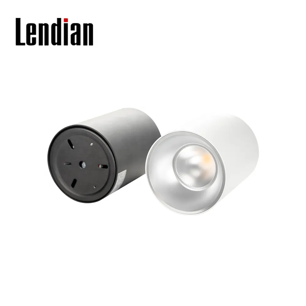 Adjustable Surface-Mounted Round LED Downlight 12W