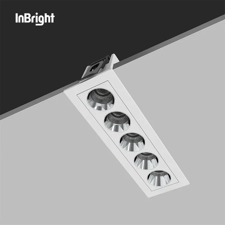 Recessed Aluminum LED Downlight 2-30W IP50