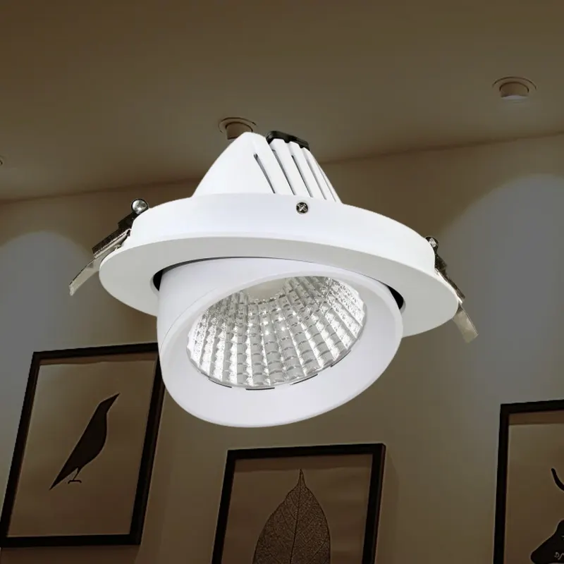 Zoomable Recessed Aluminum LED Light Fixture
