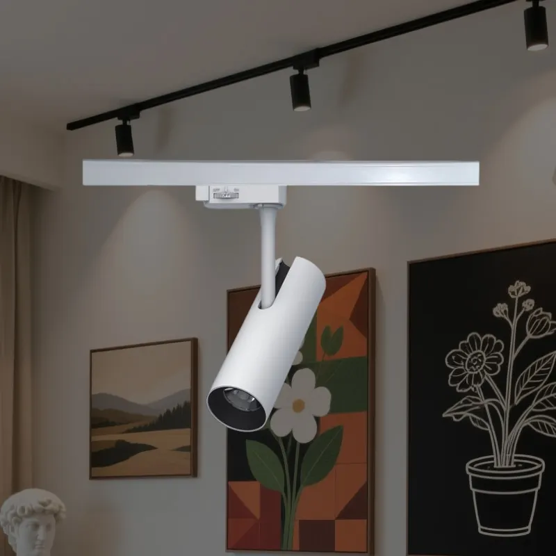 Anti-Glare Rotatable Aluminum COB LED Track Spotlight 30W