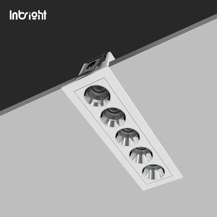 Recessed Aluminum LED Downlight 2-30W