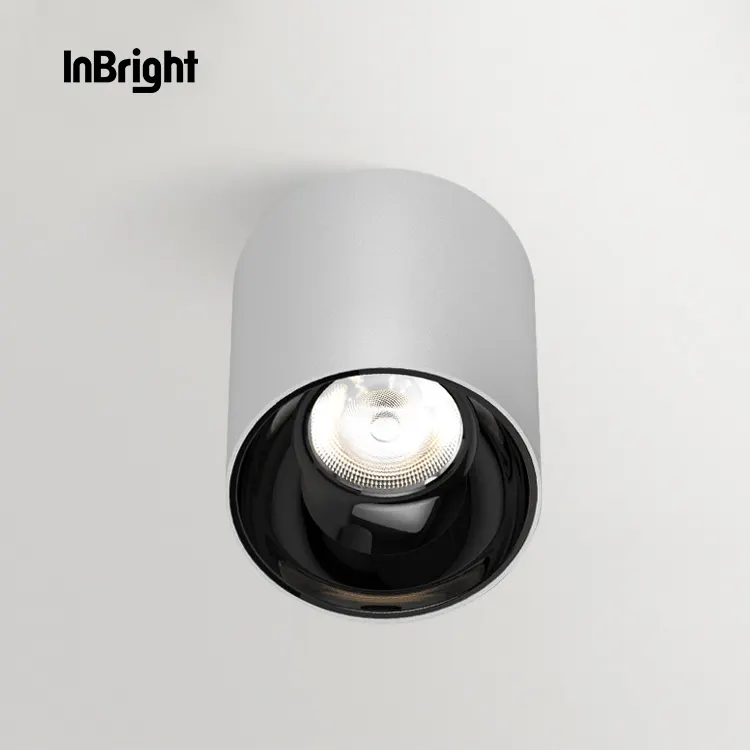 Waterproof COB LED Downlight 10-50W IP65