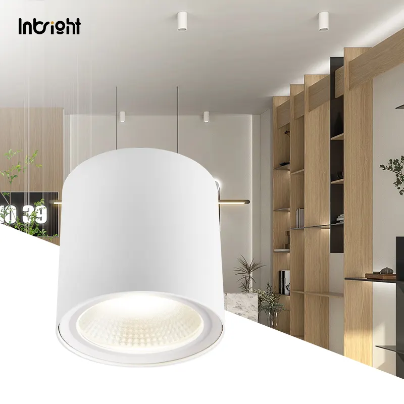 Surface-Mounted Aluminum LED Downlight 15-50W IP65