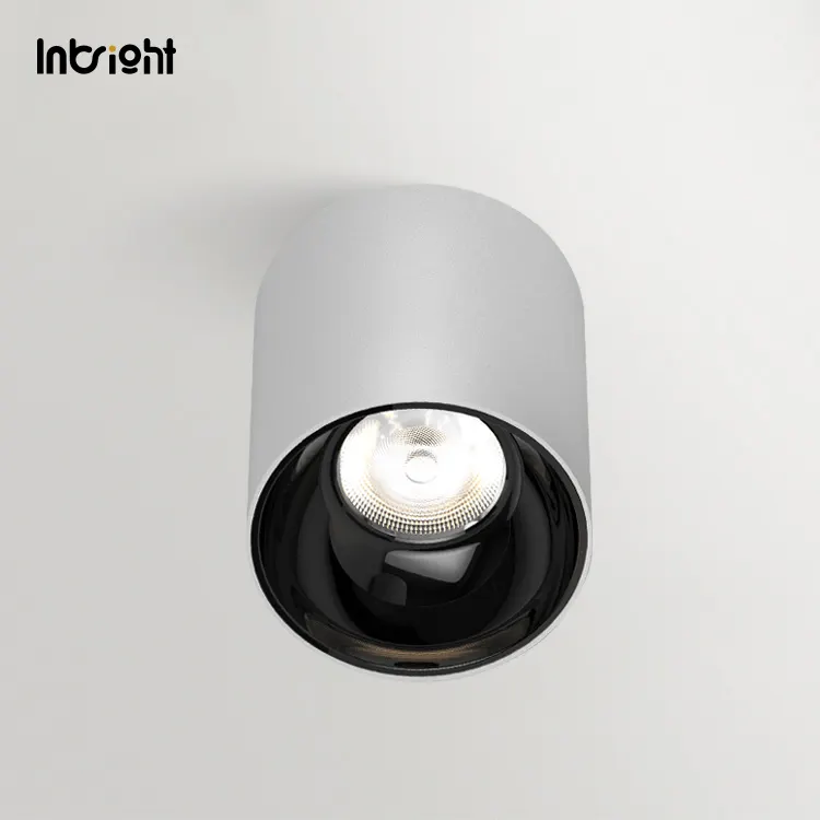 Surface-Mounted Aluminum LED Downlight 10-50W IP65