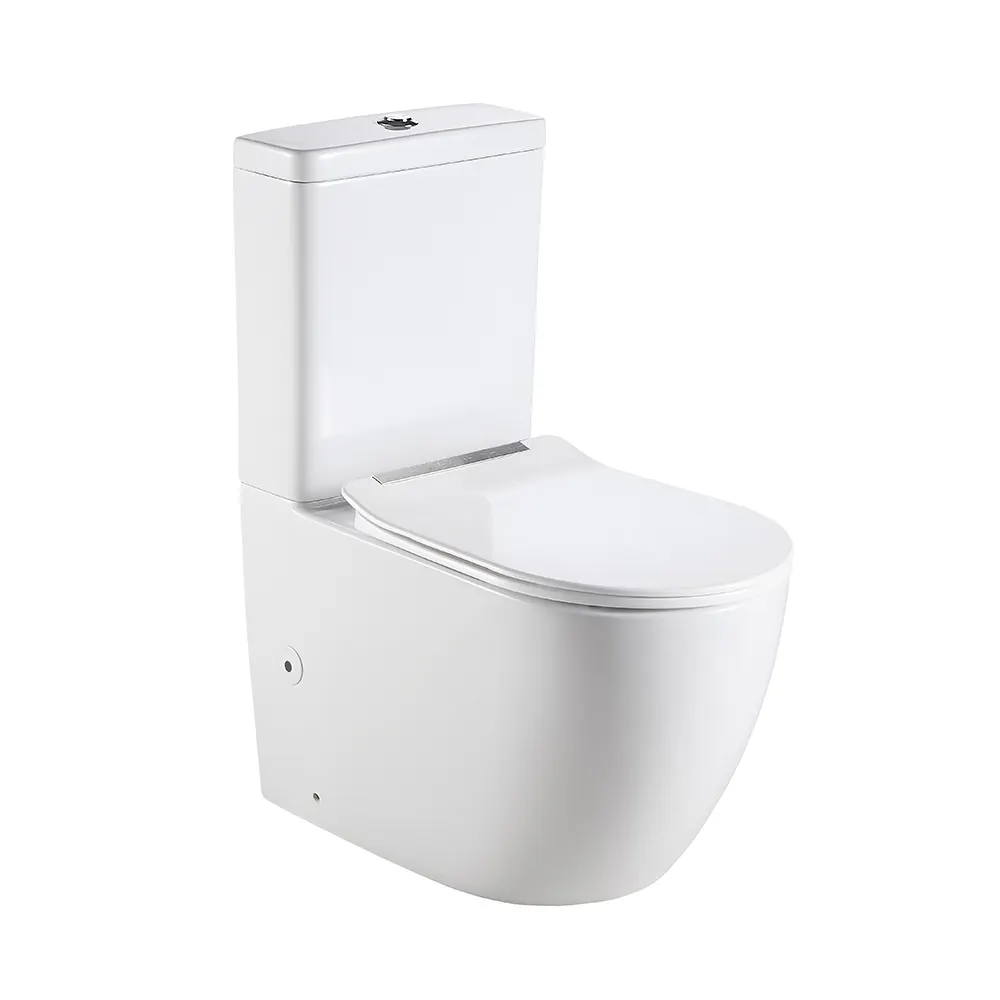 Dual-Flush Two-Piece Ceramic Toilet