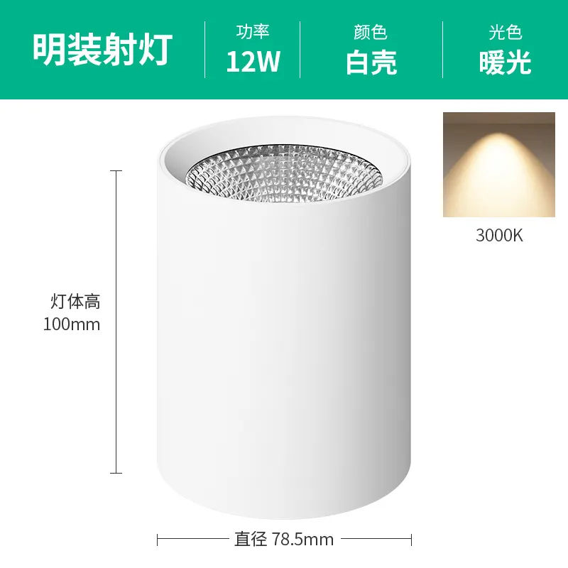 Surface-Mounted Aluminum LED Downlight 12-40W