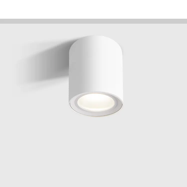 Surface-Mounted Aluminum LED Downlight 15-50W IP65