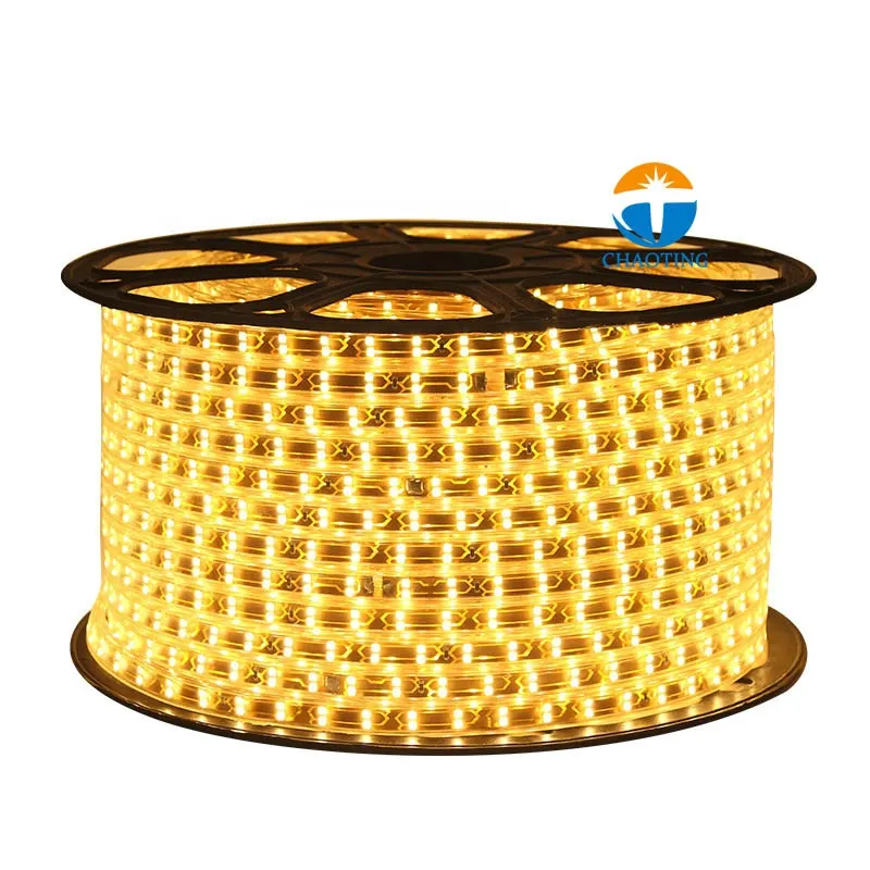 RGBW Flexible LED Strip Light 220V