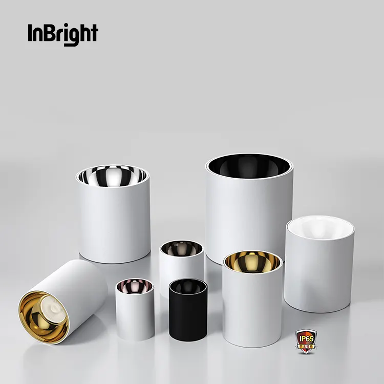 Surface-Mounted COB LED Downlight IP65