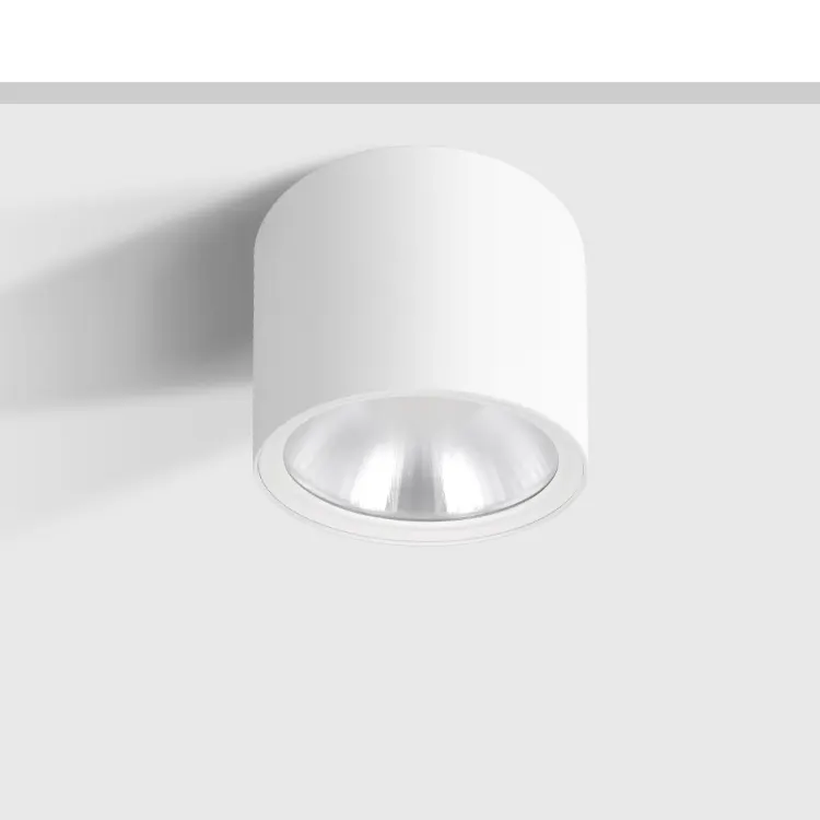 Surface-Mounted Aluminum LED Downlight 15-50W