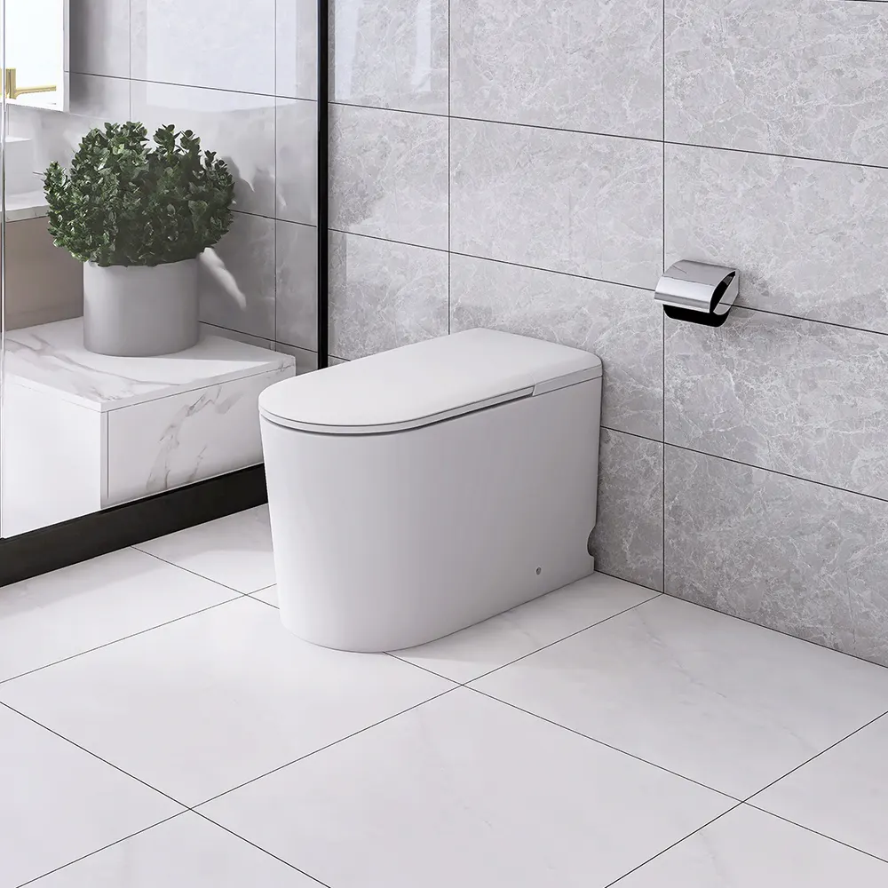 Smart Ceramic Toilet With Electronic Controls