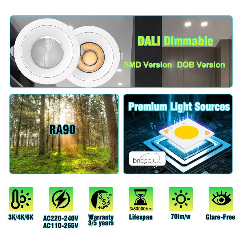 Adjustable Smart Recessed COB LED Downlight 12W 6in