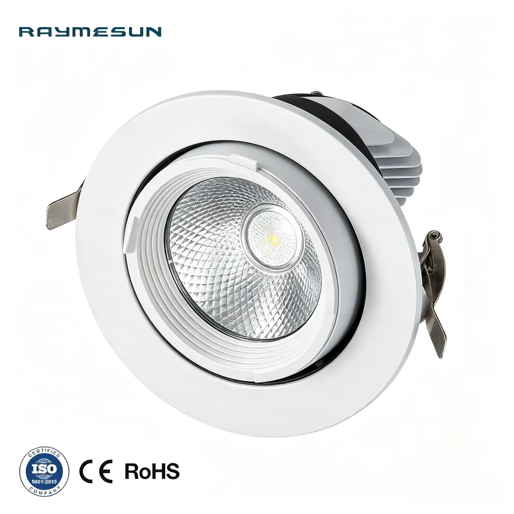 Recessed Aluminum LED Downlight 30W IP65