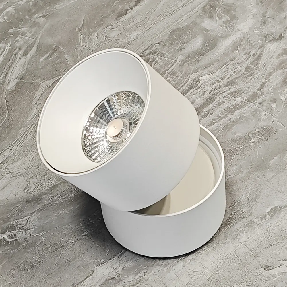 Adjustable Surface-Mounted LED Downlight 10-30W