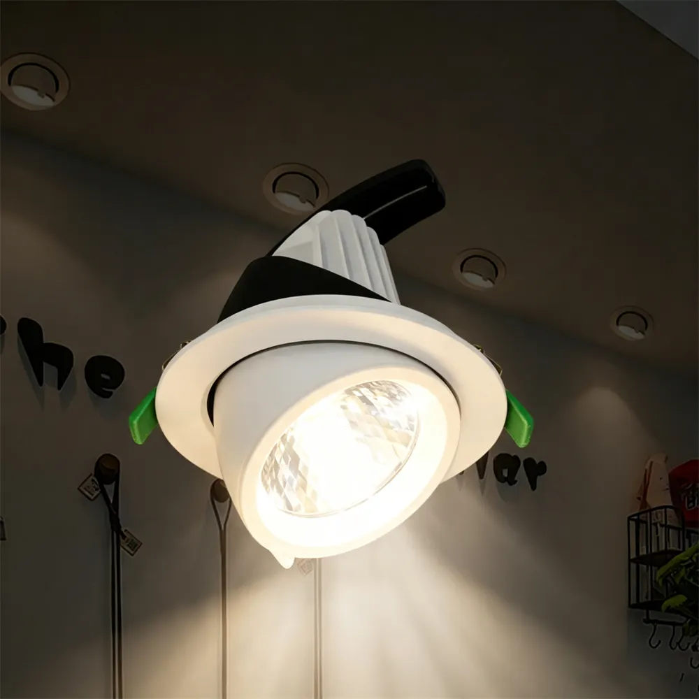 Adjustable Recessed Aluminum LED Downlight