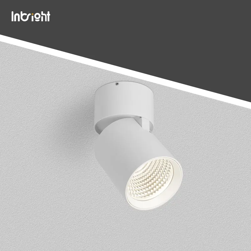 Adjustable Dimmable Surface-Mounted LED Downlight 15/25W product sample