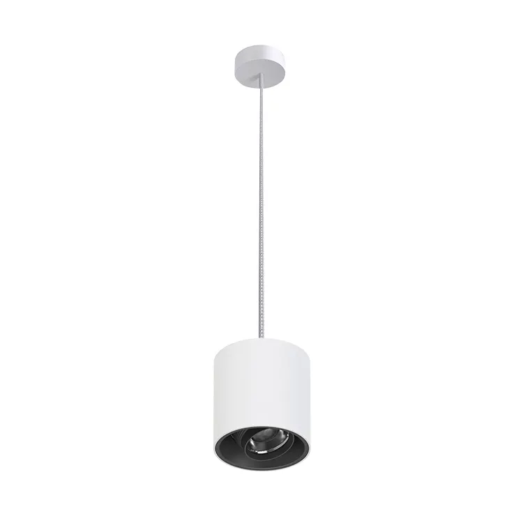 Adjustable Surface-Mounted Aluminum LED Downlight 8-20W IP65