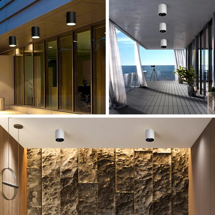Surface-Mounted Aluminum LED Downlight 10-100W