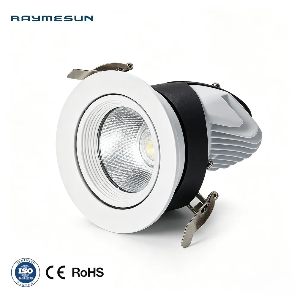 Adjustable Recessed Aluminum COB LED Downlight 30W product sample