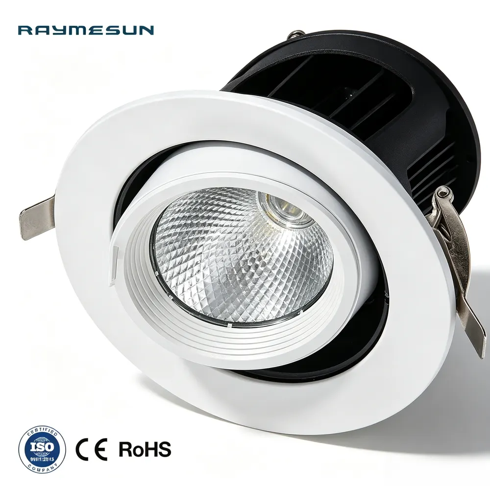 Adjustable Recessed Aluminum COB LED Downlight 10/52W IP65