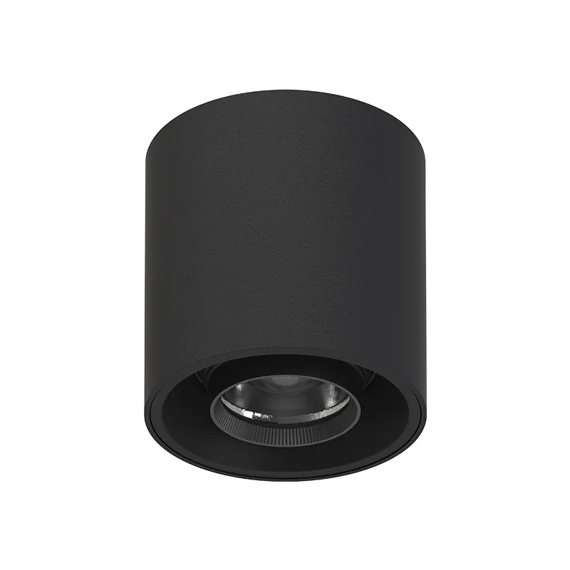 Adjustable Surface-Mounted Aluminum LED Downlight 8-20W IP65
