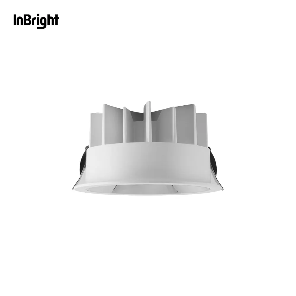 Adjustable Smart Dimmable Recessed LED Downlight 10-50W IP65