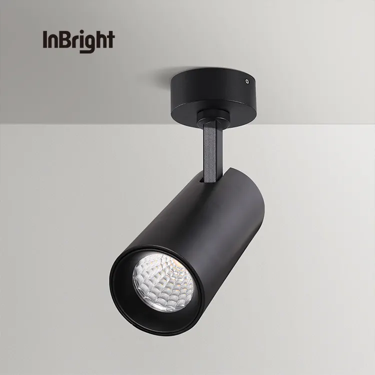 Adjustable Dimmable Surface-Mounted LED Downlight 12-36W product sample