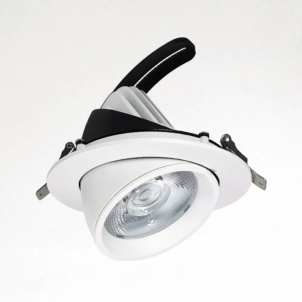 Rotatable Recessed Aluminum LED Downlight 12-75W
