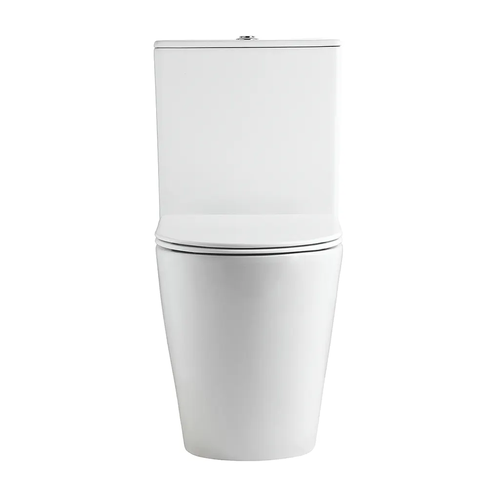 Dual-Flush Two-Piece Ceramic Toilet