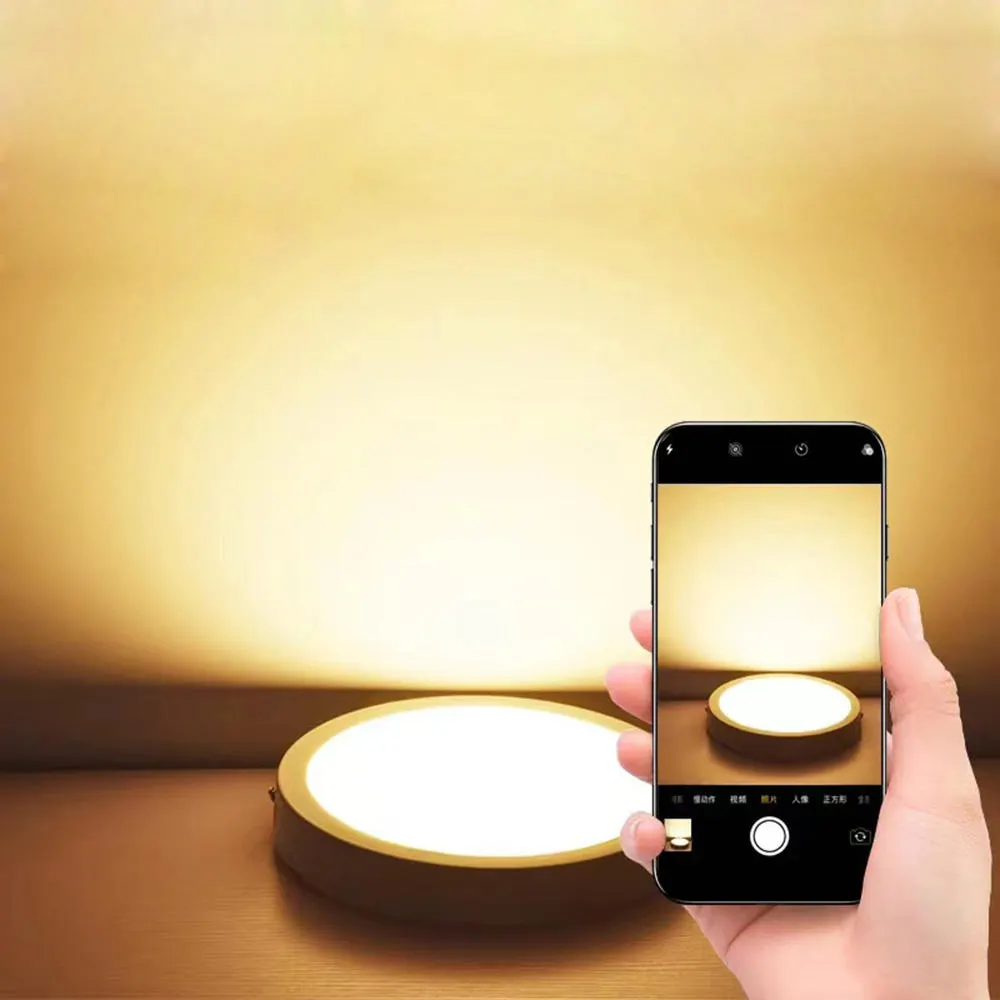 Slim Surface-Mounted Round LED Panel Light 12-29W
