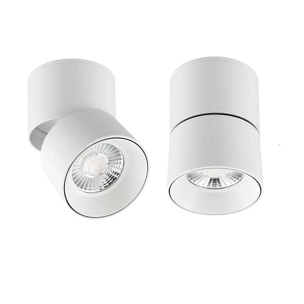 Adjustable Surface-Mounted LED Downlight 10-30W product sample