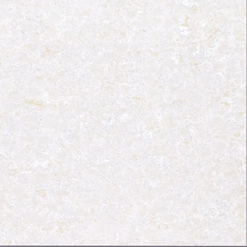 Polished Porcelain Floor Tile 600x600mm