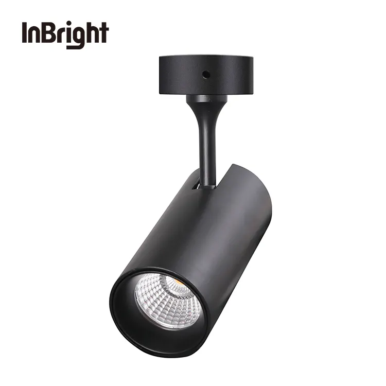 Adjustable Dimmable Surface-Mounted LED Downlight 12-36W product sample